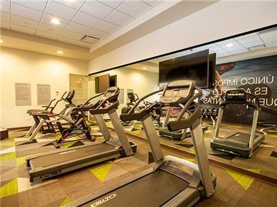Hilton Garden Poliforum Hotel 3*